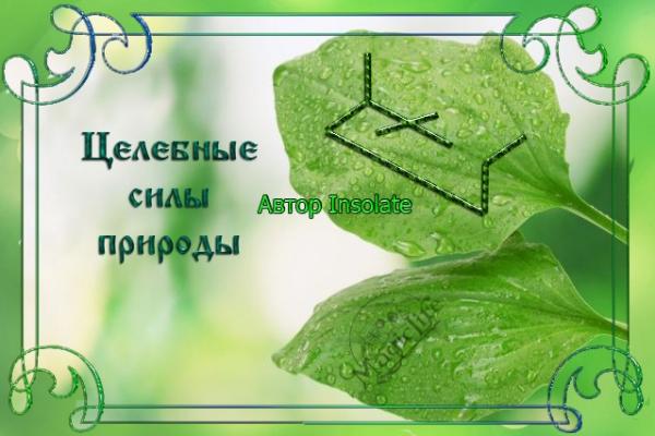 Став "Целебные силы природы" от Insolate Став "Целебные силы природы", автор Insolate
