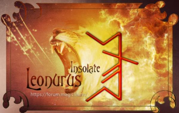 Рунная порча "Leonurus - львиный хвост" на неудачи, автор Insolate Рунная порча от Insolate "Leonurus - львиный хвост" на неудачи