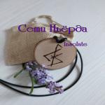 images/runicheskie-oberegji-amulety-talismany-insolate/talisman-dlya-deneg-seti-njorda.jpg
